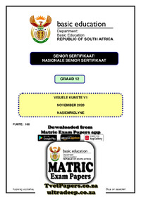 Visual Arts P1 Nov 2020 Memo Afr.pdf